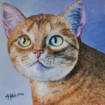 Samtpfote 25 x 25/Acryl